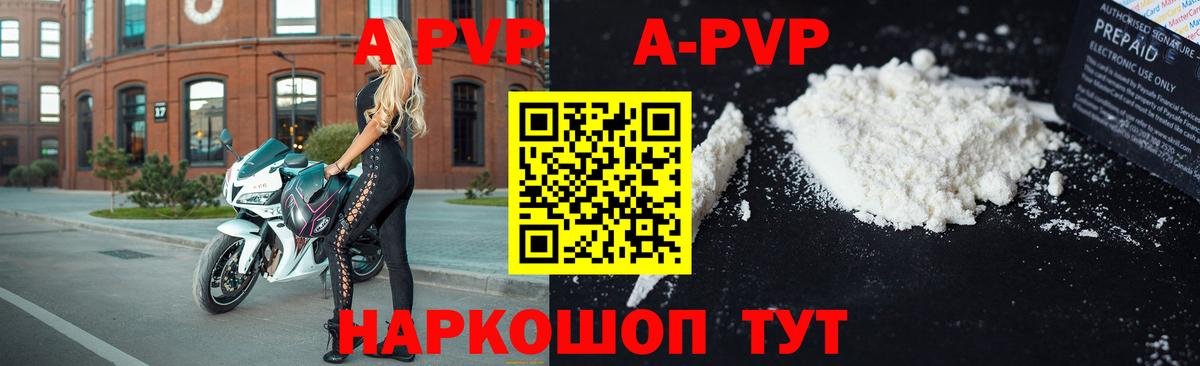 Альфа ПВП СК КРИС  Alfa_PVP VHQ  Беслан  Вход с VPN 