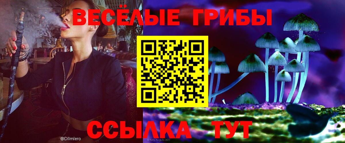 Псилоцибиновые грибы Magic Shrooms  Вход с VPN  купить  цена  Беслан 